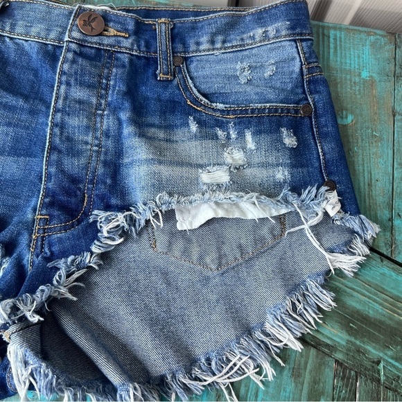 One Teaspoon Rollers Low Waist Long Rise Festival Shorts Size 26 - Picture 4 of 13